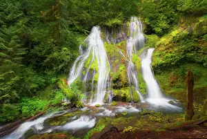 Falls Prints: USA, Washington State, Gifford Pinchot National Forest