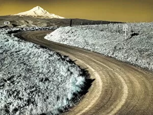 Road Collection: USA, Washington State. Infrared capture of road running though wildflowers with Mount Hood in