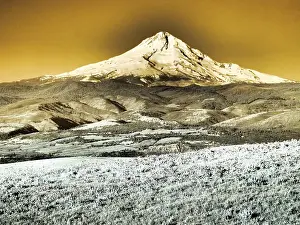 Hill Prints: USA, Washington State. Infrared capture of wildflowers and Mount Hood Date: 22-04-2021