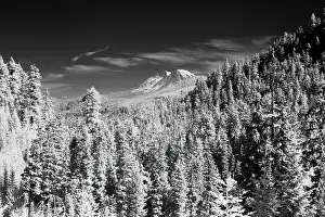 Viewed Prints: USA, Washington State, Mt. Rainier viewed from the South Date: 27-08-2006