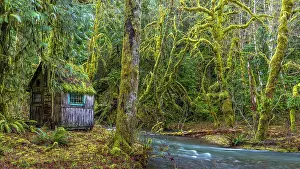 USA, Washington State, Olympic National Park. Weathered cabin beside Elk Creek. Date: 13-01-2021