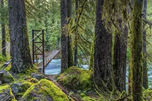 USA, Washington State, Olympic National Park. Bridge across North Fork Skokomish River. Date: 13-01-2021