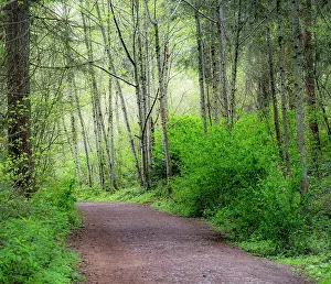 Pacific Prints: USA, Washington State, Pacific Northwest Sammamish trail along Yellow Lake Date: 23-04-2020