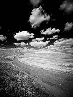 USA, Washington State, Palouse. Crops growing on the rolling hills of the Palouse Date: 16-01-2020