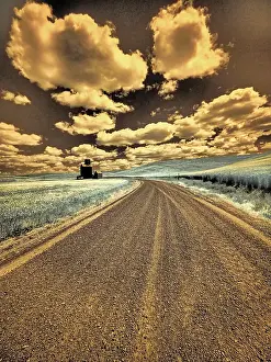USA, Washington State, Palouse. Country backroad through spring crops Date: 12-10-2020