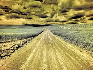 USA, Washington State, Palouse. Country backroad through spring crops Date: 12-10-2020