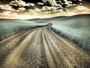 USA, Washington State, Palouse. Country backroad through spring crops Date: 12-10-2020