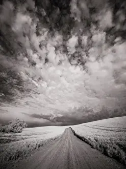 USA, Washington State, Palouse. Backcountry road through wheat field and clouds Date: 11-06-2020