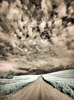 USA, Washington State, Palouse. Backcountry road through wheat field and clouds Date: 11-06-2020