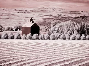 Road Collection: USA, Washington State, Palouse. Harvest lies in field with barn Date: 10-06-2020