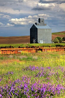 Wildflowers Collection: USA, Washington State, Palouse. Old silo with wildflowers in the foreground in the town of