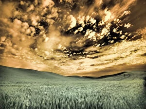 Hill Gallery: USA, Washington State, Palouse. wheat field and clouds
