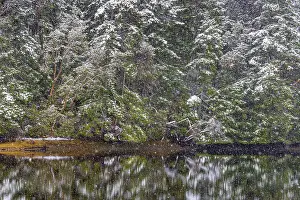 Point Prints: USA, Washington State, Seabeck