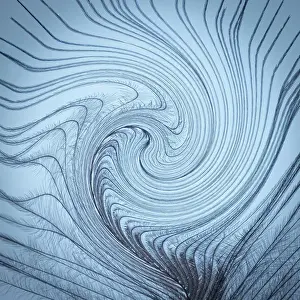 Gallery Prints: USA, Washington State, Seabeck. Downy feather with a twist. Date: 09-08-2021
