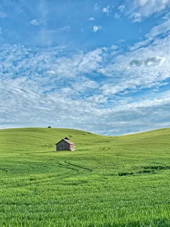 Barn Gallery: USA, Washington State, Small barn and tracks in wheat field