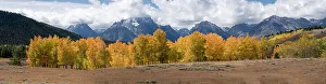 : USA, Wyoming. Aspen, Grand Teton National Park. Date: 26-09-2020