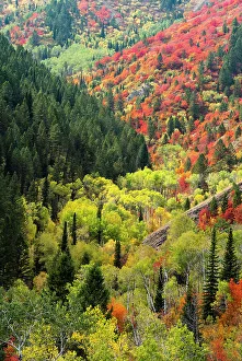: USA, Wyoming. Colorful autumn foliage of the Caribou-Targhee National Forest. Date: 22-09-2020
