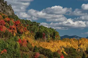 USA, Wyoming. Colorful autumn foliage of the Caribou-Targhee National Forest. Date: 20-09-2020