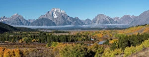: USA, Wyoming. Mount Moran and autumn aspens at the Oxbow, Grand Teton National Park