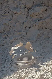 USA, Wyoming, Yellowstone National Park, Atrists Paintpots. Boiling hot mud pots. Detail of exploding bubble. Date: 09-10-2020