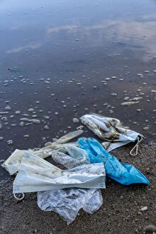 Images Dated 14th May 2020: Used masks and surgical gloves at the waters