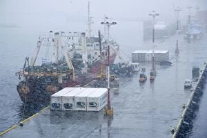 Images Dated 2nd November 2006: Ushuaia dock unloading fish in snow storm, Tierra del Fuego, October