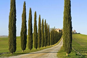 Val d'Orcia, Siena Province, Siena, Tuscany