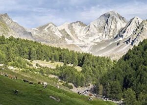 Valley Pfossental (Val di Fosse) between