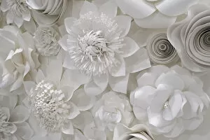 Images Dated 28th February 2022: Variety of white flower designs made from cut paper. New York City, New York, USA Date: 14-08-2018