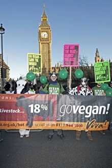 Images Dated 6th December 2008: Vegan campaigners outside parliament on Climate