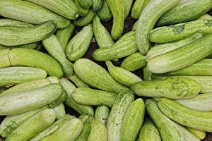 Vegetables at market, Udaipur, India