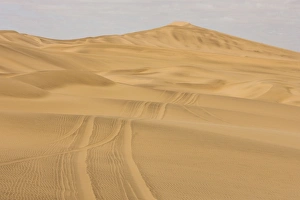 Images Dated 20th May 2007: Vehicle tracks in the dunes - Left by a 4x4 crossing the dune sea