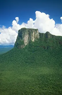 Tepui Prints: Venezuela FG 12116 Cerro Autana (1200 m alt)