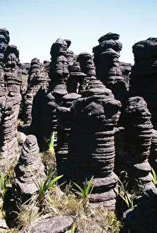 Pinnacle Prints: Venezuela Summit of Roraima