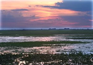Images Dated 27th April 2004: Venezuela - sunset over the Llanos