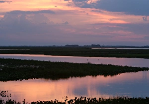 Images Dated 27th April 2004: Venezuela - sunset over the Llanos