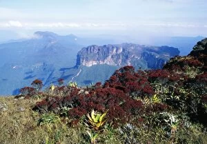 Images Dated 8th February 2005: Venezuela Weiassipu from the summit of Roraima