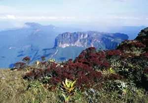 Venezuela Prints: Venezuela Weiassipu from the summit of Roraima