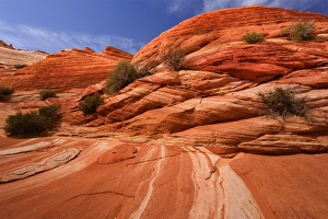 Images Dated 28th April 2009: Vermillion Cliffs - carved rock made of jurrasic-age Navajo Sandstone that is approximately 190