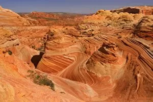 Images Dated 28th April 2009: Vermillion Cliffs - The Wave - carved rock made of jurrasic-age Navajo Sandstone that is