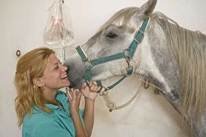 Vet - tending horse with drip in neck