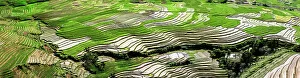 Working Collection: Vietnam. Date: 25-06-2019