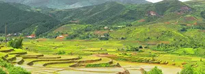 Vietnam. Rice paddies in the highlands of Sapa. Date: 25-06-2019