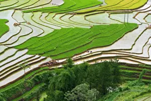 Vietnam. Rice paddies in the highlands of Sapa. Date: 25-06-2019
