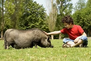Vietnamese pot-bellied pig with young boy