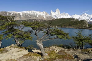 Images Dated 18th November 2010: View of Fitzroy from Lago Capri, Los Glaciares