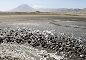 Images Dated 29th January 2006: View of Oldoynio Lengai Volcano / 'The Mountain of God'