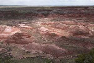 View over Painted Desert, the dark red areas are iron stained siltstone, other red areas are stained by iron oxide