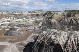 View over Painted Desert showing coloured strata, the white layers are sandstone, whereas the reds are caused either by iron stained siltstones or iron oxide