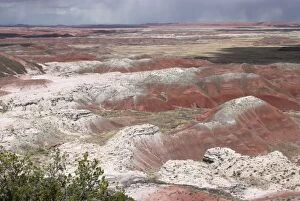View over Painted Desert, the white layers are sandstone, the reds are either iron stained siltstone or rocks stained